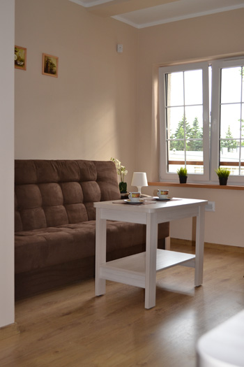 Apartament rodzinny w Rowach